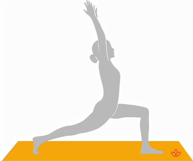 分享一套入门级流瑜伽序列，促进身体代谢，在家就可以练