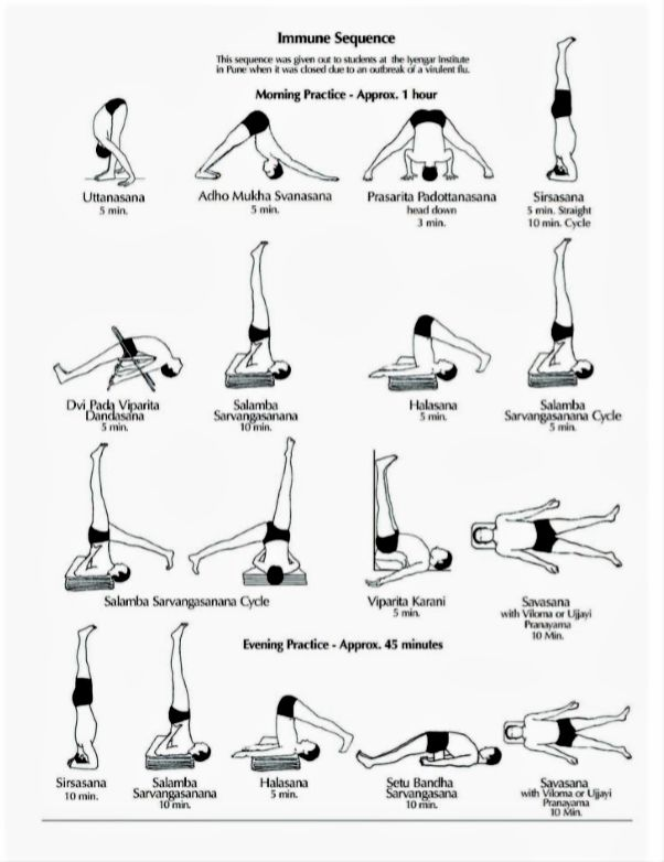 10套不同类型的瑜伽序列，每一套都是经典，值得收藏