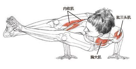 手臂，腹部力量够吗？试试这个瑜伽体式