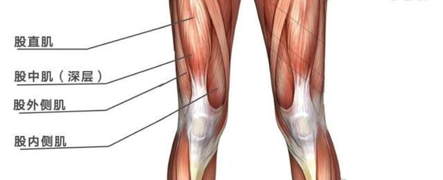 大腿前侧紧又粗？这7个体式助你深度拉伸大腿前侧