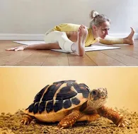瑜伽龟式，看起来很难，实际上也很难