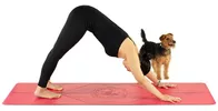 瑜伽下犬式经常练习，这7个体式你试过吗？