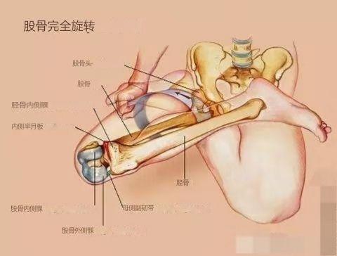 莲花坐，瑜伽里最为重要和有用的体式之一