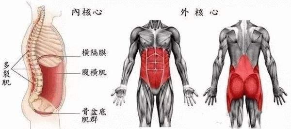 10个经典的瑜伽核心动作，助你加强核心打造马甲线