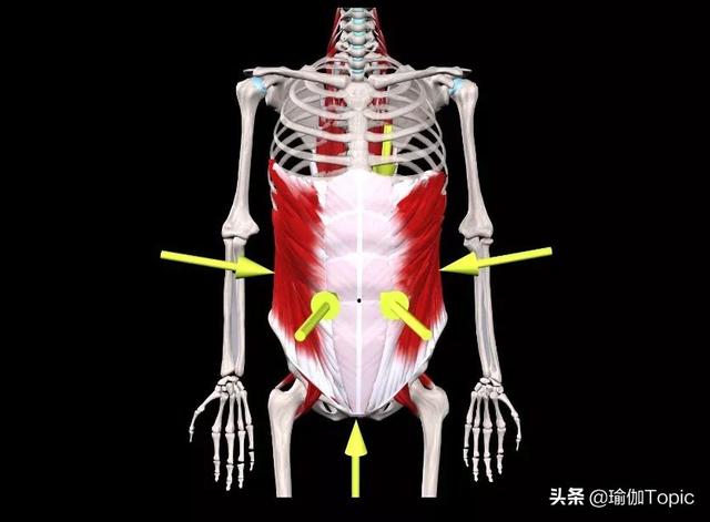 8个普拉提动作“躺着练”，收腰瘦腹，效果超级好