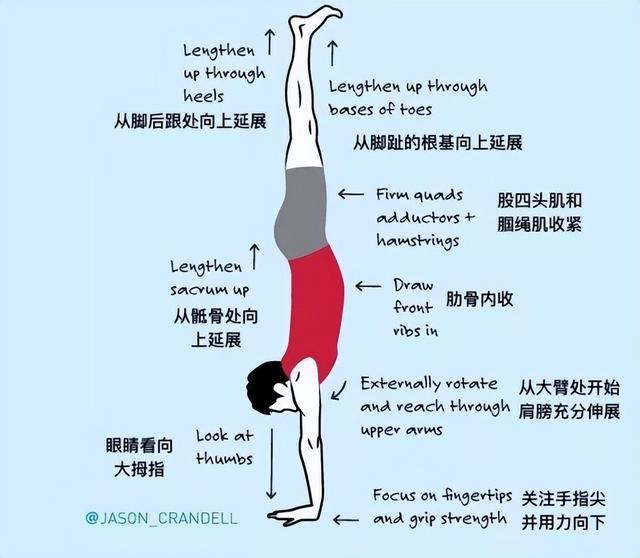 练瑜伽手倒立，这5个肌群的热身很重要，尤其要注意了