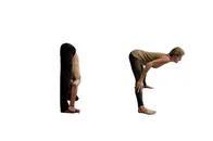 瑜伽双角式ABCD，每天坚持练习，改善循环，预防下垂