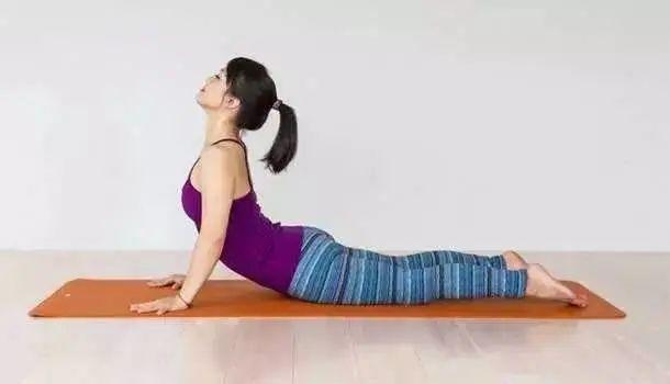 瑜伽眼镜蛇式，做对了腰不疼还能改善体态
