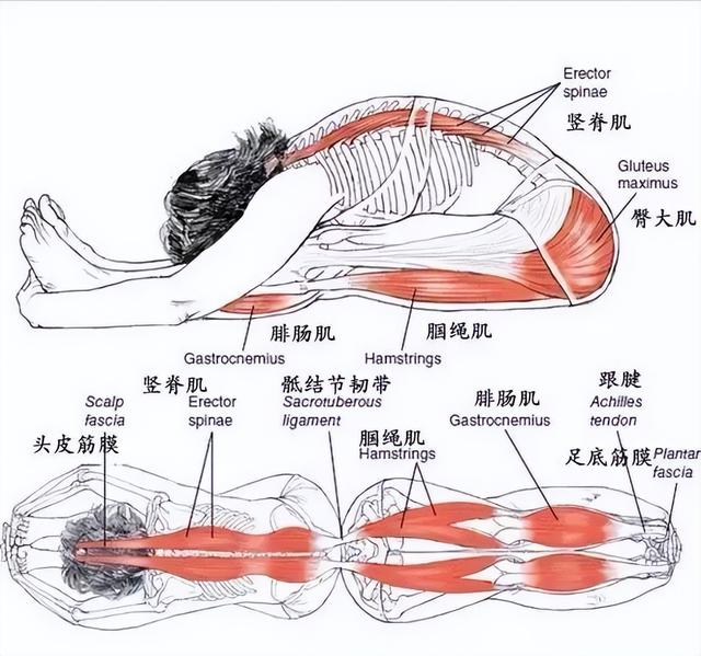 瑜伽坐立前屈做不好？试试这样练习