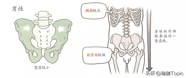 臀中极品，又圆又翘的蜜桃臀？这样练，轻松get！