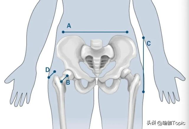 臀中极品，又圆又翘的蜜桃臀？这样练，轻松get！