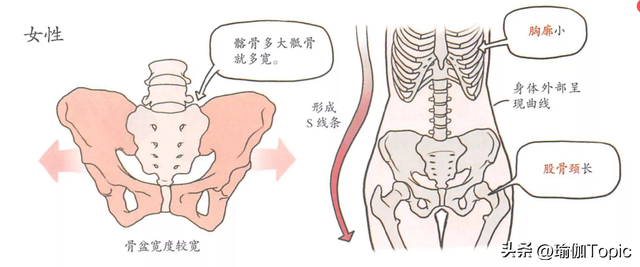 臀中极品，又圆又翘的蜜桃臀？这样练，轻松get！