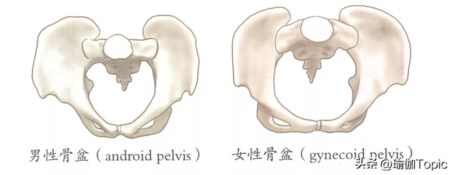 臀中极品，又圆又翘的蜜桃臀？这样练，轻松get！