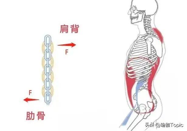 不懂就问：女生“4个胸”到底是咋回事？（男士勿进）