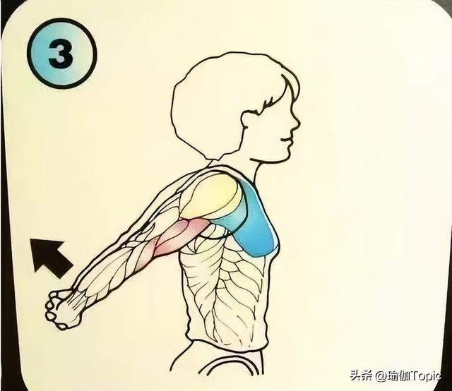 10个全身拉筋动作，不会拉筋的这样拉就对了！