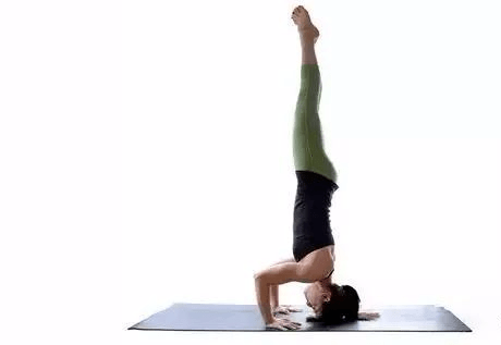想解锁瑜伽“体式之王”头倒立，你应该试试这样做！
