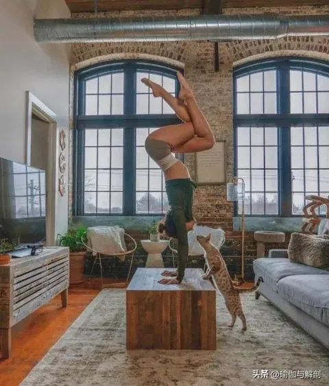 女性高难瑜伽动作图分享，你能解锁几个呢？