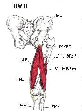 怎么感受瑜伽坐立体式的根基？