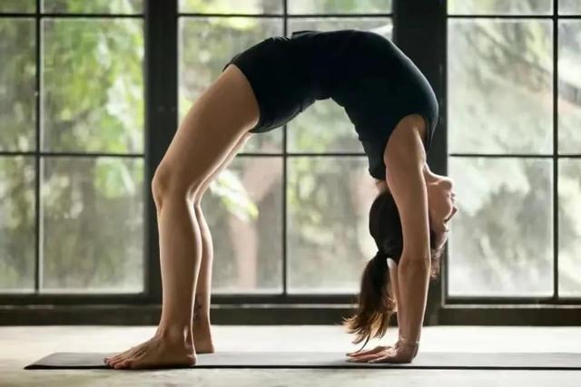 分享艾扬格大师讲解瑜伽上犬式的方法，8个关键点强化身体的感受