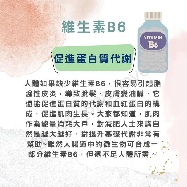 维生素B群对身体有哪些影响？一文看懂！