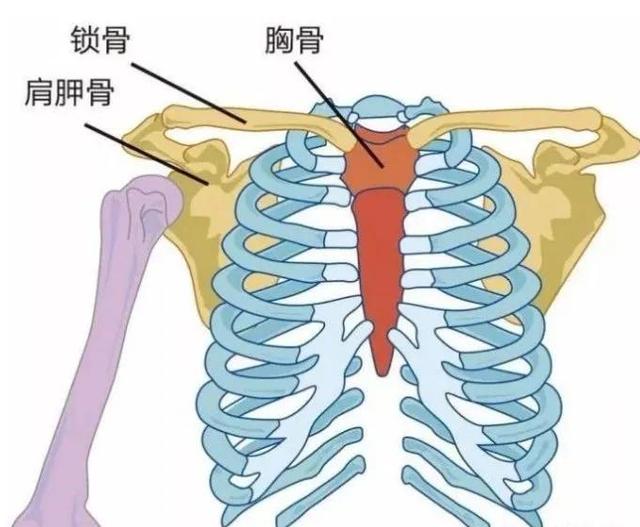 瑜伽中最容易的手臂向两侧伸展，这样做能强化肩膀的稳定和灵活！