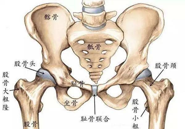 如何练习让髋关节更稳定？瑜伽初学者与瑜伽老手的差别就在这里！