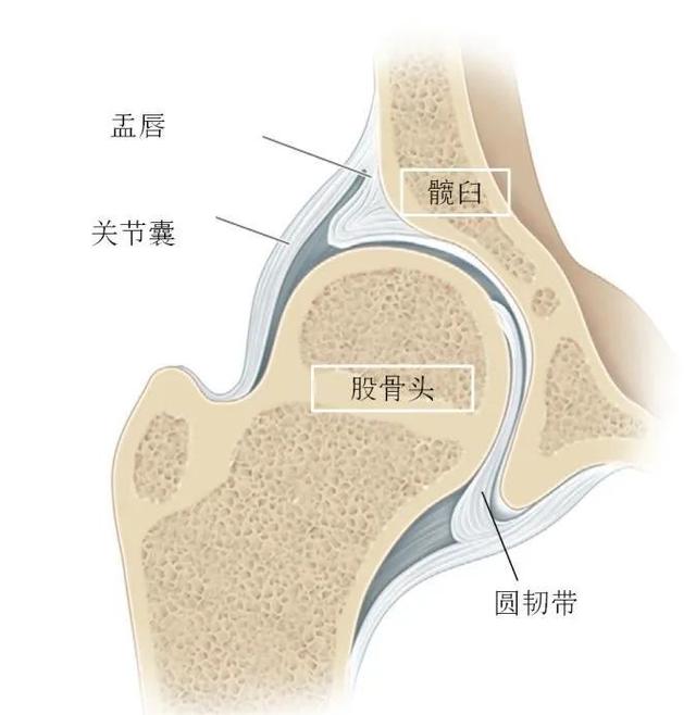 束角式中怎么找到开髋拉伸的感觉？瑜伽初学者和瑜伽老手这么练！