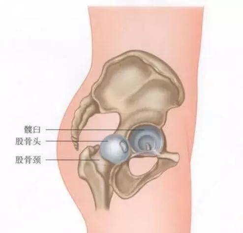 练瑜伽：为什么当你来到船式，身体总是向后仰，腿总是伸不直？