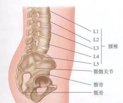 练瑜伽：为什么坐角式前屈会腰疼？