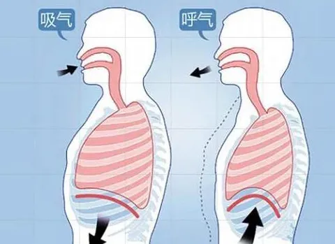 练瑜伽还在气喘吁吁？学会用呼吸引领身体，大口喘气完全不存在！