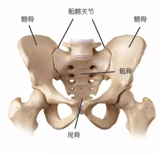 瑜伽练习不要参照别人的标准，做自己的三角式就好！