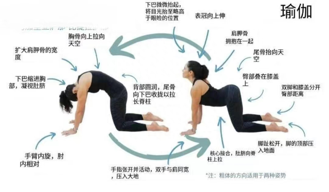 简单的体式重复做，就是练瑜伽的唯一“捷径”！尤其是这8个