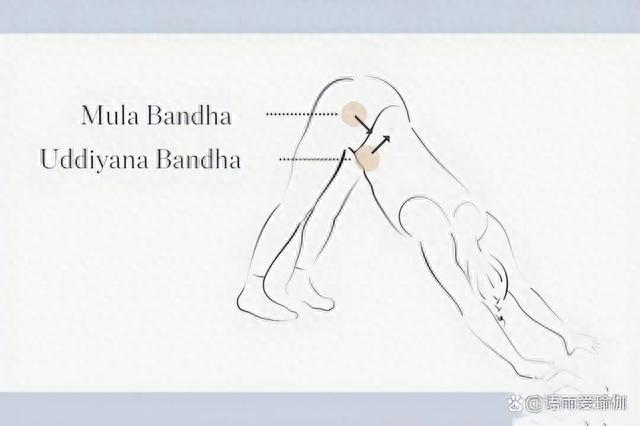 神秘又神奇的Bandha班达，真的让人又爱又恨！
