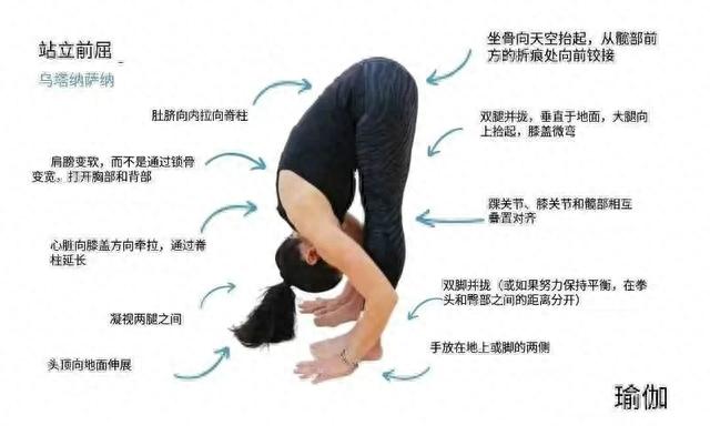 人人都该练的瑜伽拜日式，坚持练习受益终身！