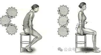 让后腰疯狂堆肉的一个动作，你每天都做8小时以上！