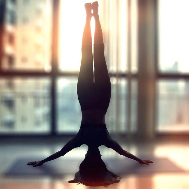 瑜伽倒立好处那么多，今天你练习了吗？