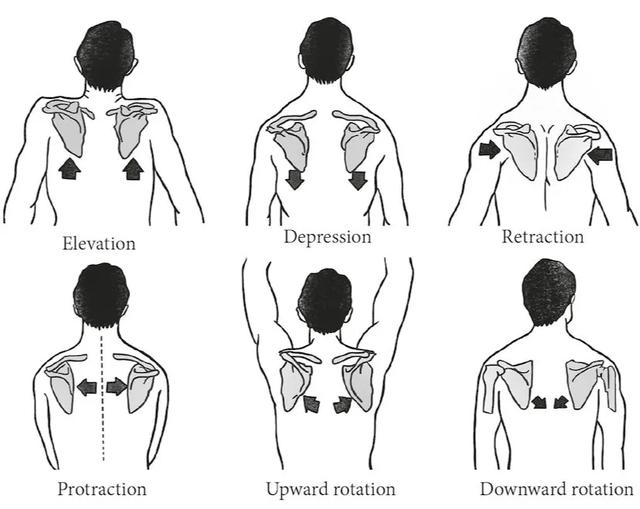 8个强健肩部的瑜伽动作，让肩膀感受从未有过的“酸爽”！