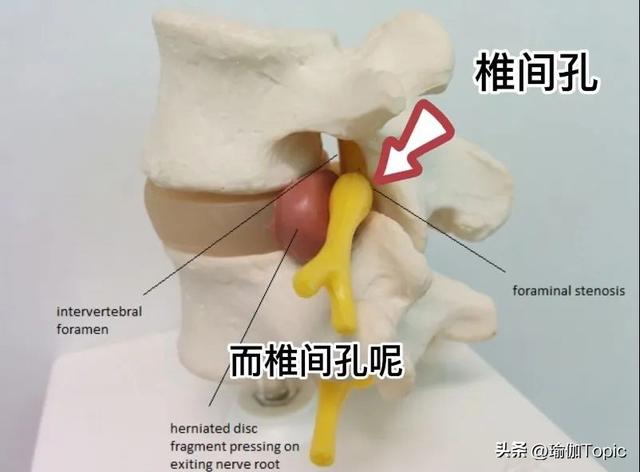 这个放松肩颈的动作，会加重你的颈椎负担，真的不要再做了！